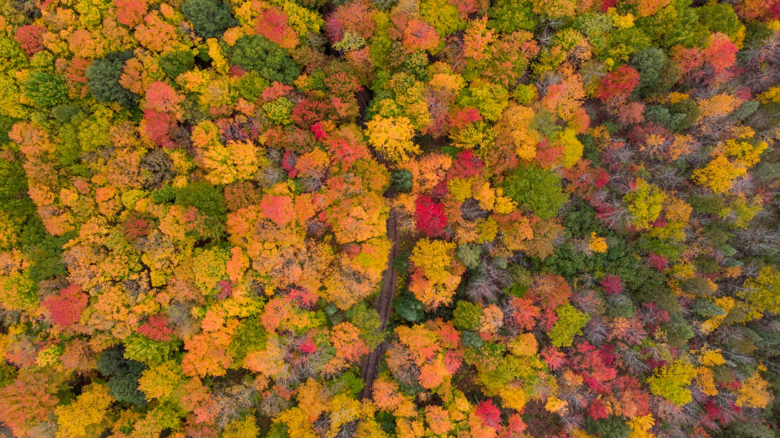 Fall Colors Camp